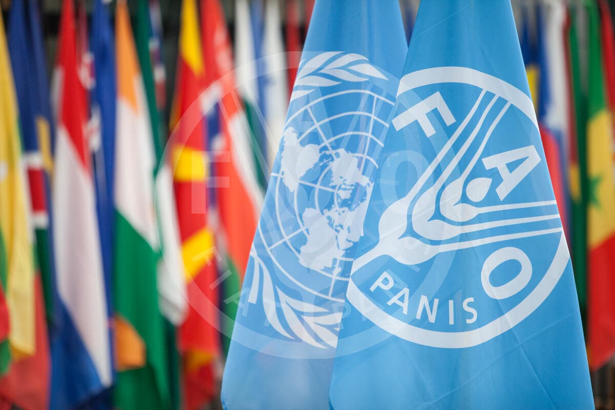 The FAO headquarters in Rome with the flags of member states